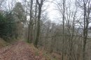 Bois du Mont Mal